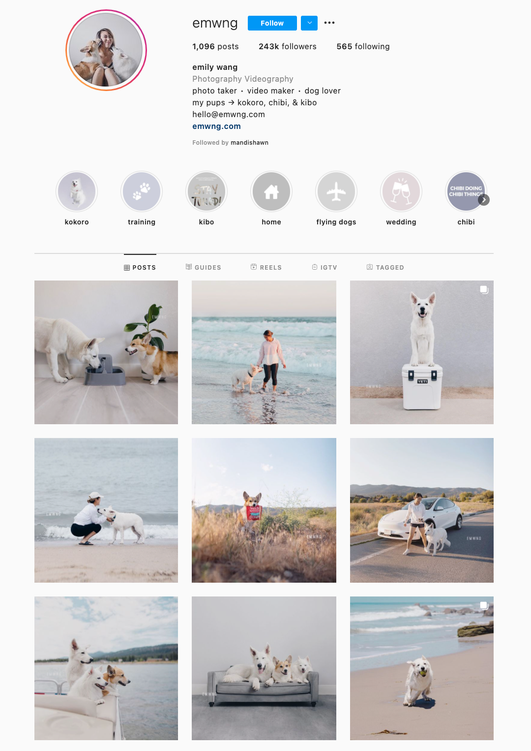 24 Stunning Instagram Themes (& How to Borrow Them for Your Own Feed)